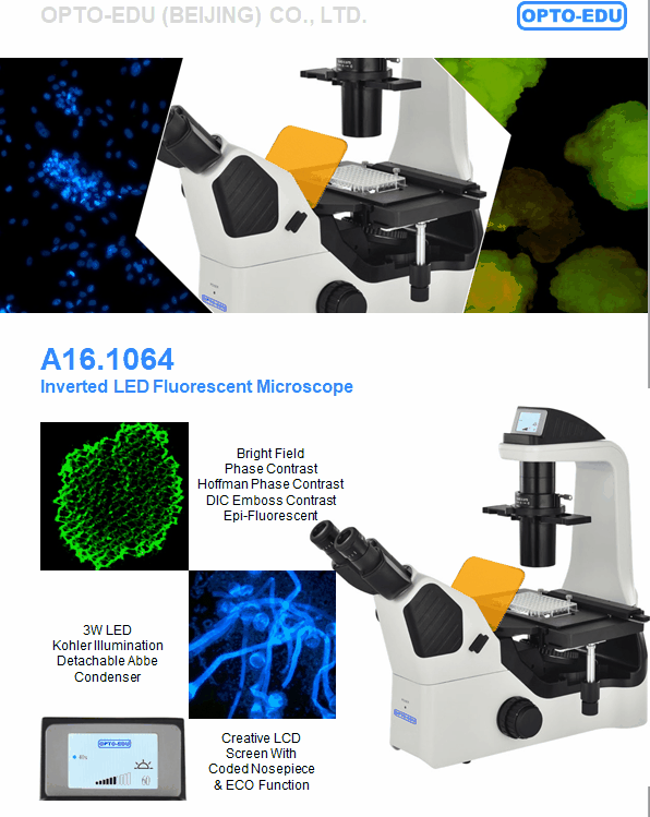 OPTO EDU A16.1064 Inverted Fluorescent Microscope B G U Long Working Distance