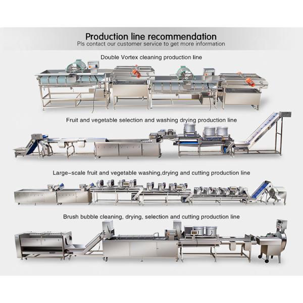 Passion fruit cleaning and drying sorting production line Fruit Vegetable FOOD processing production Machine