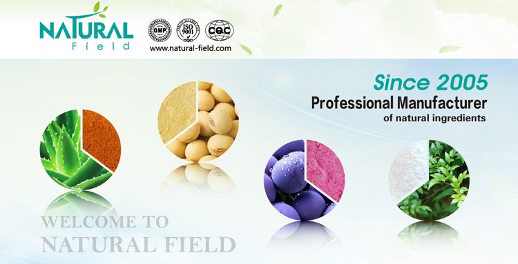 China Supplier Policosanol, Sugarcane wax extract Octacosanol
