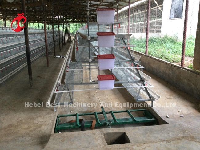 Electricity Poultry Farm Manure Handling System / Equipment 7kw Emily