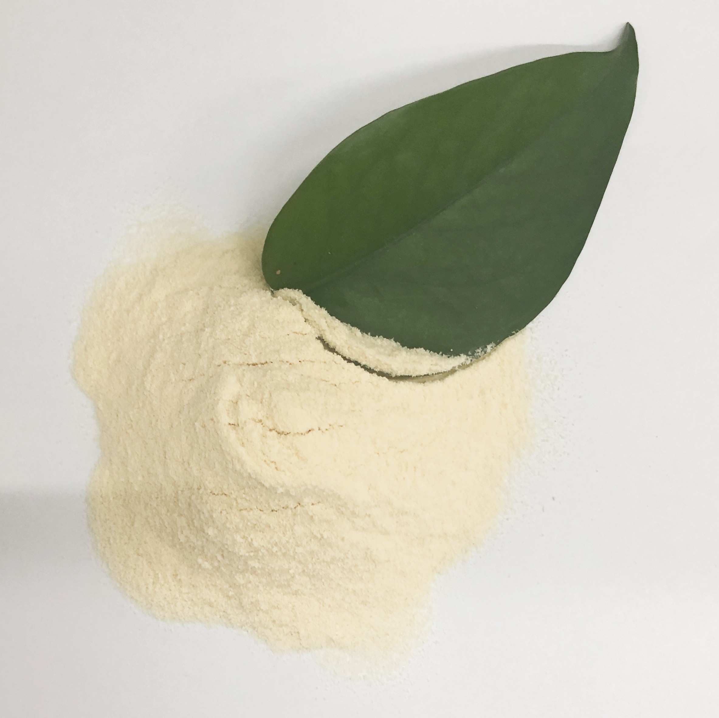 Soy Protein Based Nitrogen 14% Amino Acid 80% Amino Acid Agriculture Fertilizer