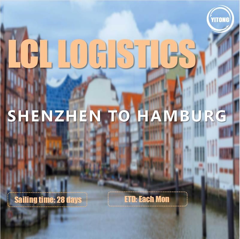 Shenzhen To Hamburg LCL International Shipping Forwarder CIF DDU Trade Term