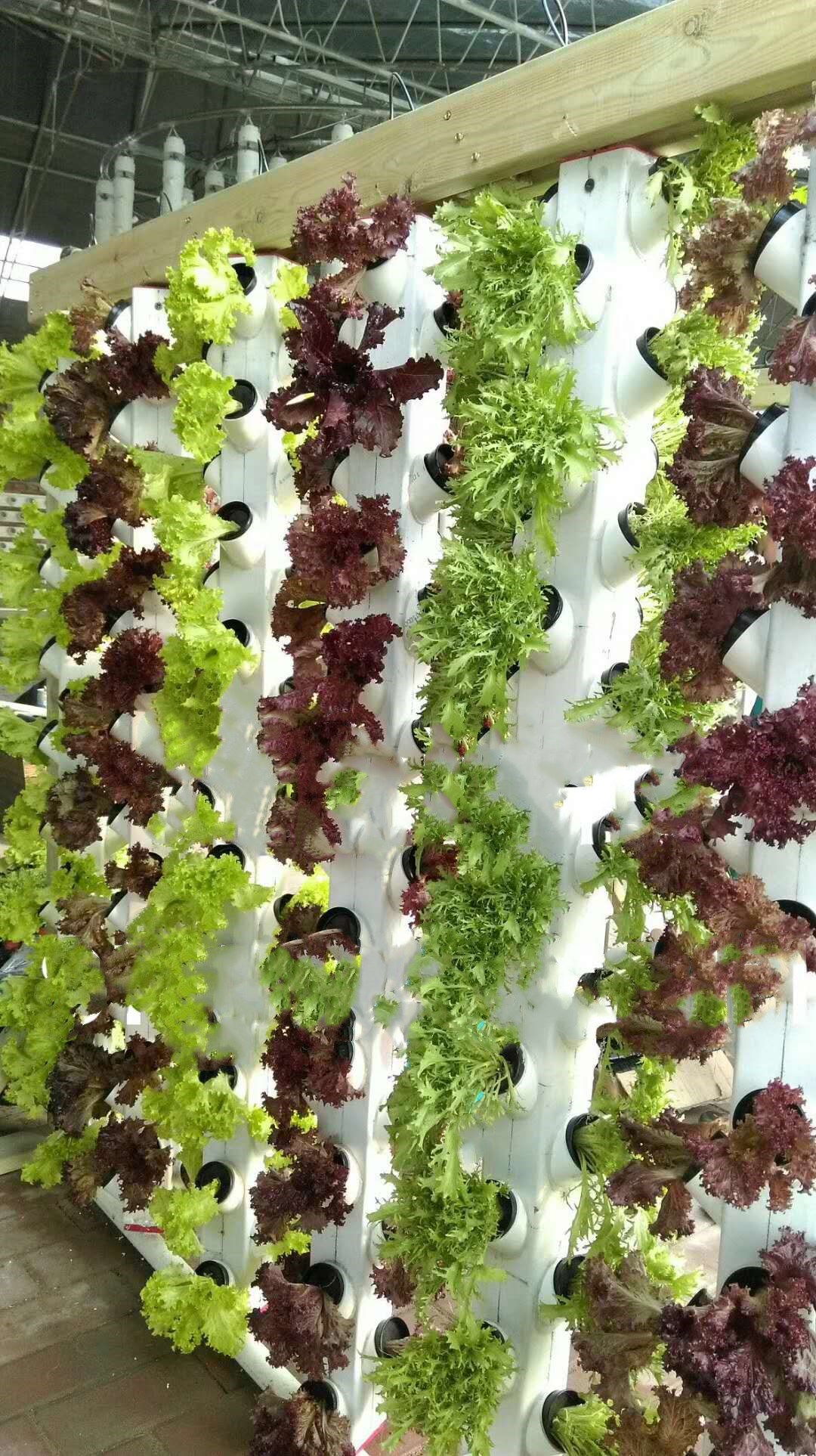 Greenhouse Aeroponic Vertical Rotary Tower Water Mist Column Cultivation
