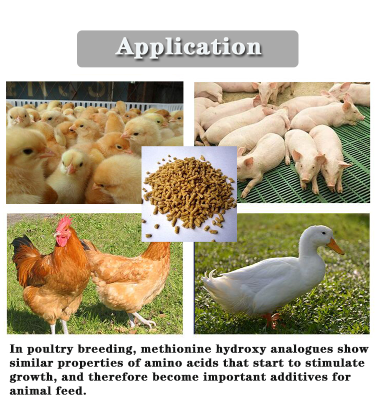 MF C5H10O3S dl-Hydroxy Methionine The Essential Nutrient for Fish Growth