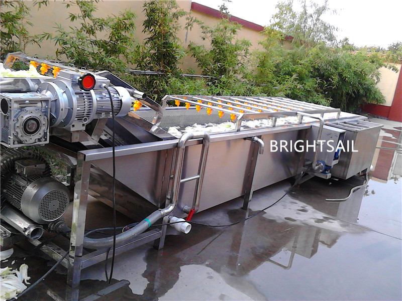 Fruit Vegetable SUS304 4.5kw Air Bubble Washing Machine