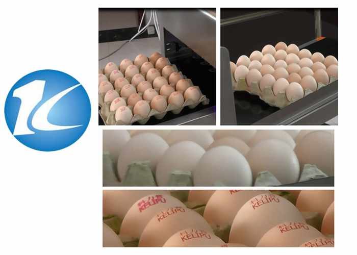 Batch Number Printing Machine Fit Egg Printer Poultry Equipment Factory