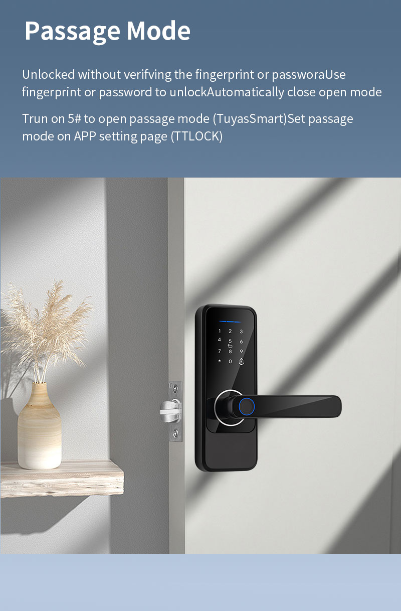 Aluminum Alloy Digital Door Lock Tuya Ttlock Wifi Keys Cerraduras Inteligentes