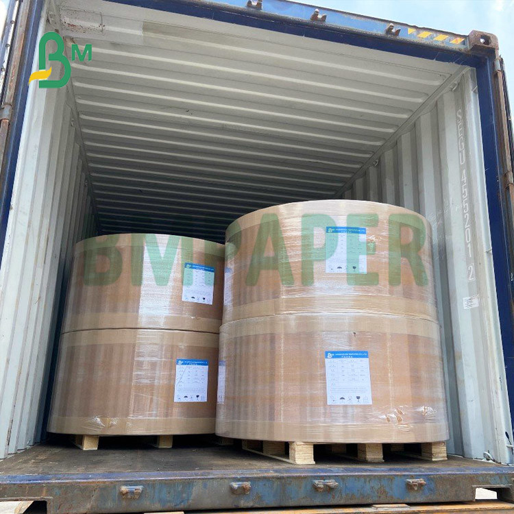  Rolls Packing Regular 787mm Glossy Art Paper for Children's Books