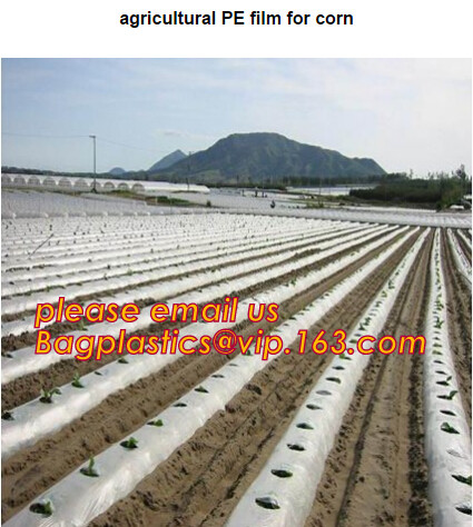 0.1mm 0.12mm 0.15mm 0.18mm 0.2mm 0.25mm hydroponic agriculture white/black panda opaque polyethylene PE film BAGPLASTICS