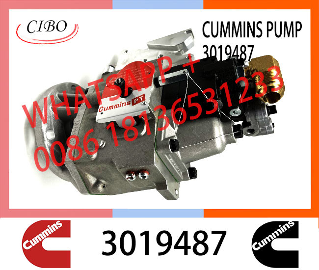 Genuine Diesel Fuel Injection Pump 2048809 3019487 3059657 For Cummins NT855