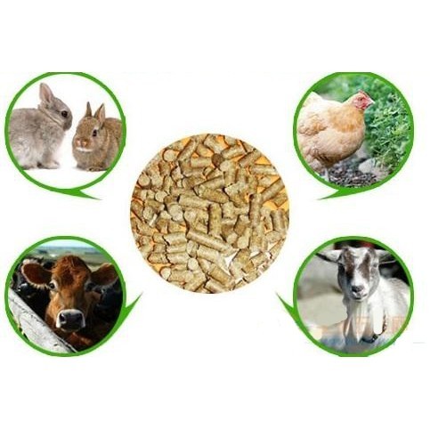 feed pellet machine