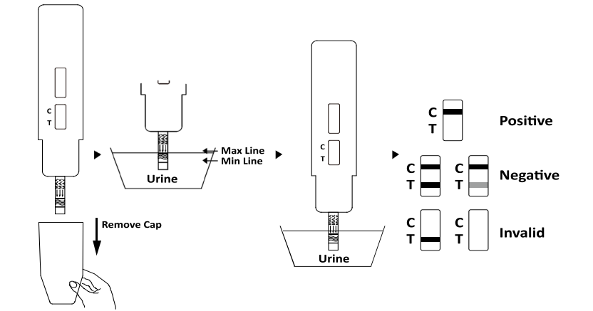 NND Rapid Test Panel (Urine), Detection of N, N-Dimethyltryptamine in urine, DOA TEST