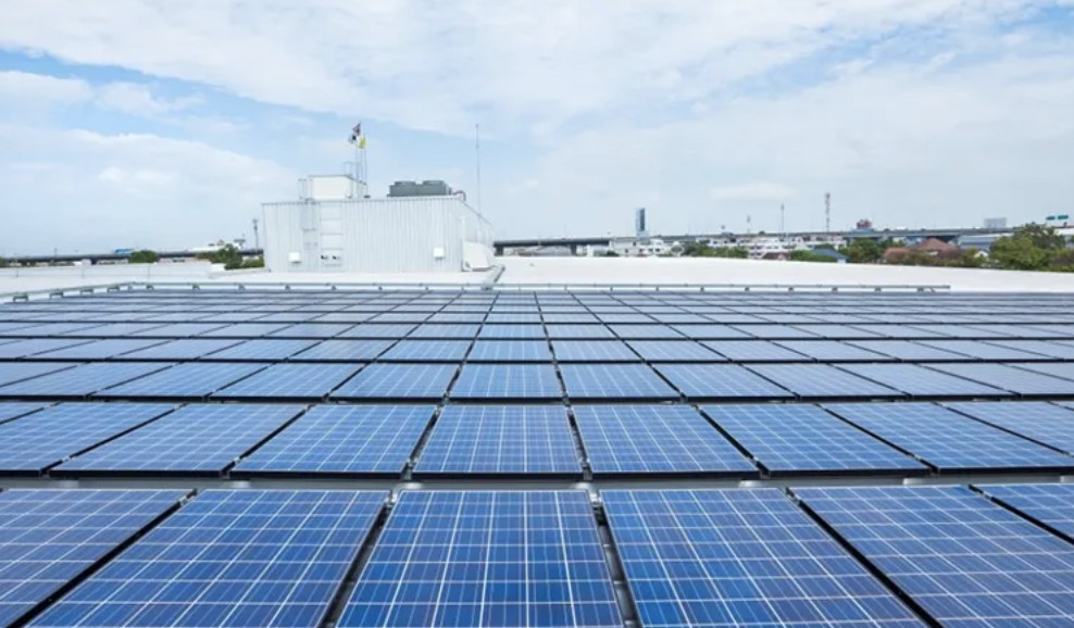 500w Trina Monocrystalline Solar Panels 166x166mm 150 Cell Module For Solar Power Generation System