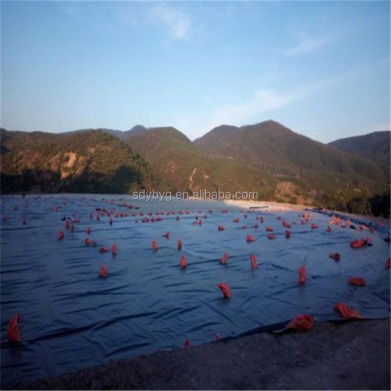 0.3mm 0.5mm 0.75mm Shrimp Farm Liner Geomembranes for Fish Breeding and Landfill Liner