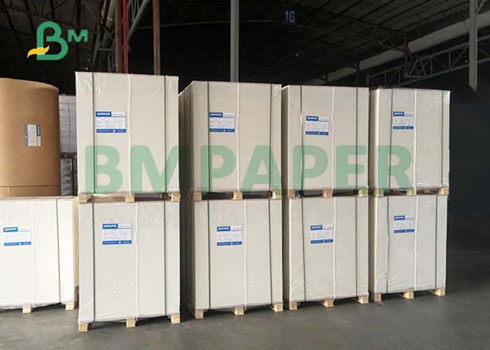 200um 300um Matte PP Synthetic Paper For Label Factory Non - Tear 500 x 570mm