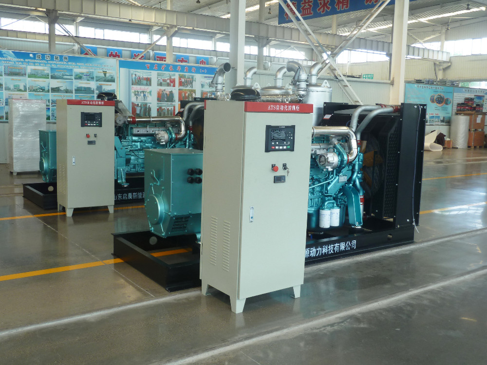 Silent Natural Gas LPG Generator as Home Standby Generator