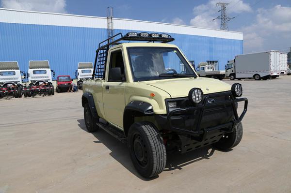 Brand Misson New Electric Pickup For Sale New Energy Mini Truck Touring Party