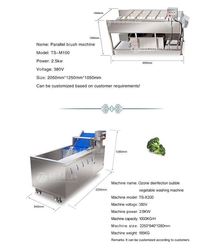 Kiwi Carrot Taro Vegetable Brush Bubble Cleaning Machine 2.5KW