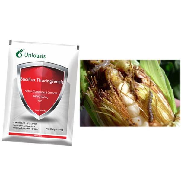 Unioasis Organic Agricultural Biological Pesticide Bacillus Thuringiensis
