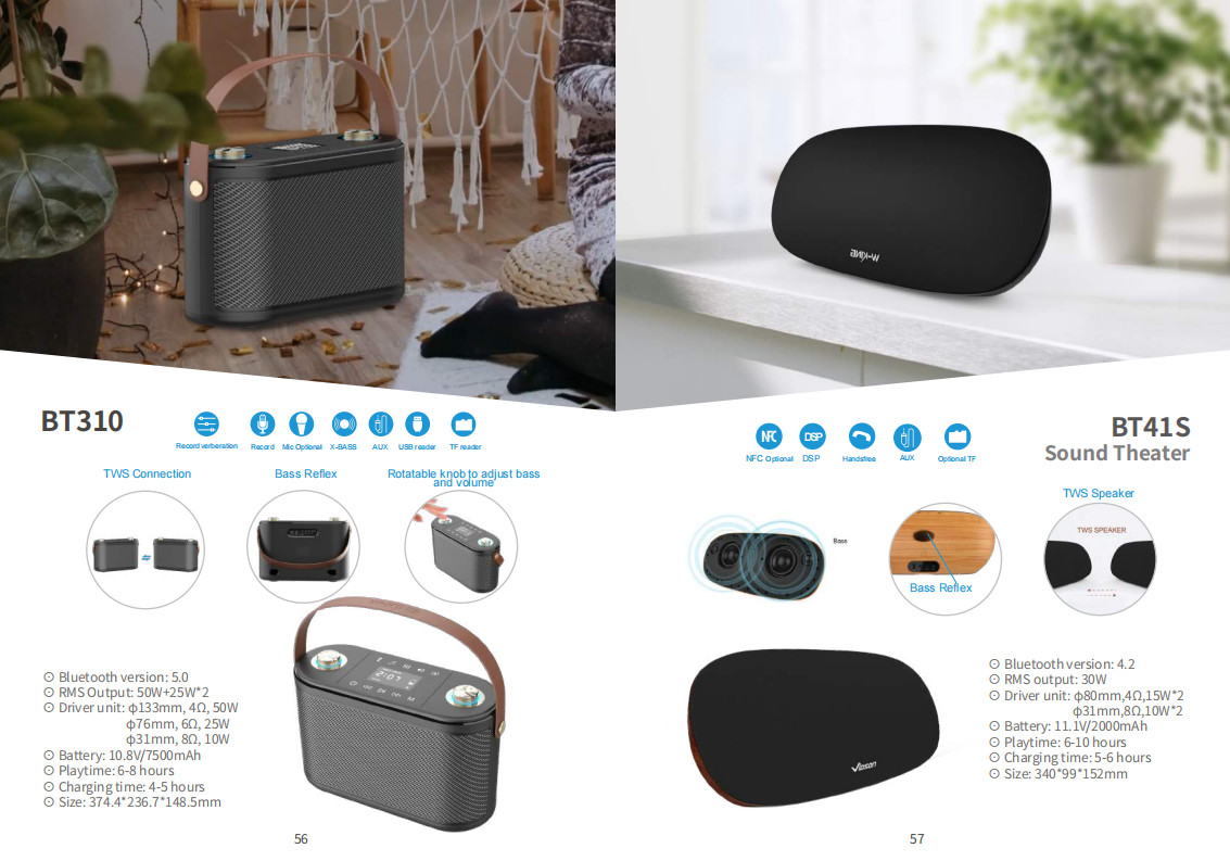 60W Waterproof IPX5 Bluetooth Wireless Speaker with TWS, DSP, TF Card, Equalizer & Subwoofer