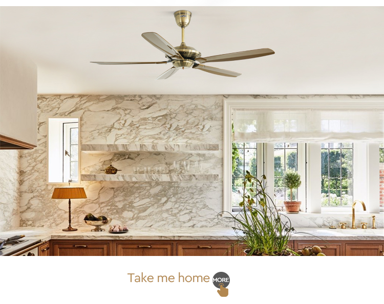 ceiling fan