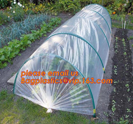Pe Mulch Film With Holes For Agriculture Perforated Red Plastic Mulch For Peppers Crop Cover For Tomatoes