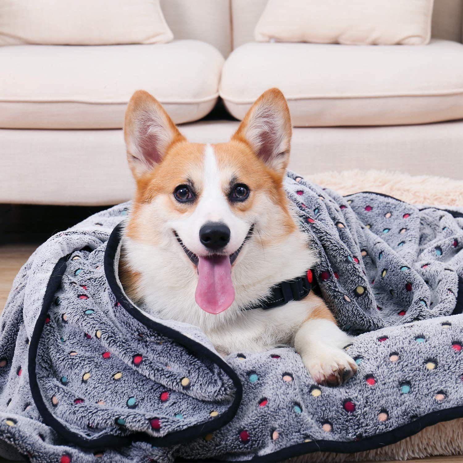 pink dog blanket