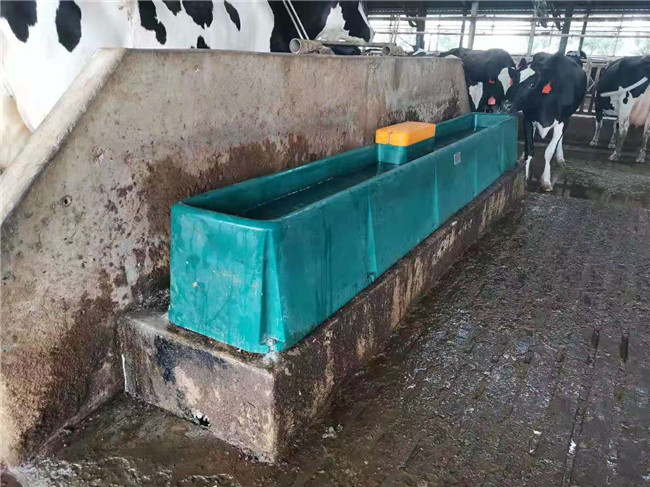 Cow Frost Proof Thermal 98KG Cattle Water Drinkers 560mm Heated Water Trough