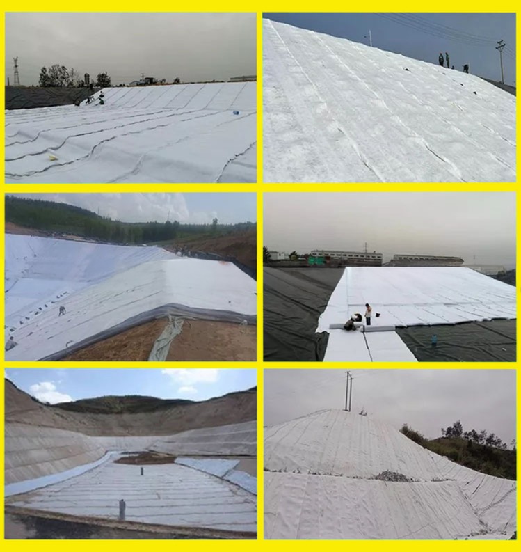 density Polyethylene Plastic 3D Composite Drainage Geonet for Environmental Protection