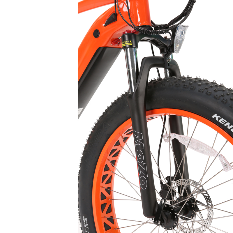 Aluminum Alloy Frame 26*4.0 Fat Tire Electric Bike with Customized Multicolored Design