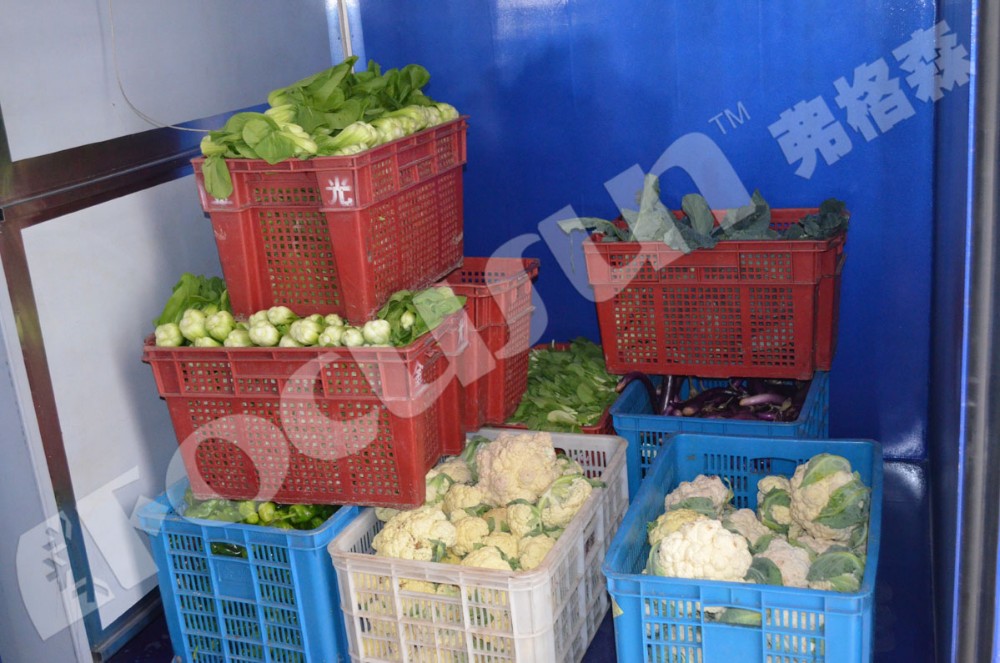 Bitzer Compressor Drives Focusun Vegetables Vacuum Cooler to Peak Performance