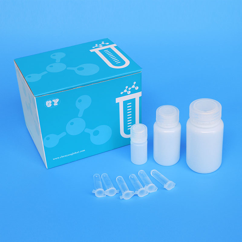 ODM PCR Nucleic Acid Purification Kits Magnetic Bead Method