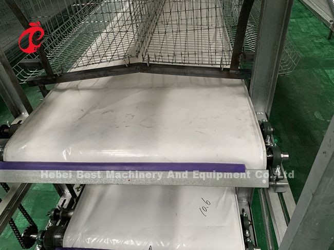 Automatic Manure Scraper And Belt Type Designed For Chicken Farm Sandy