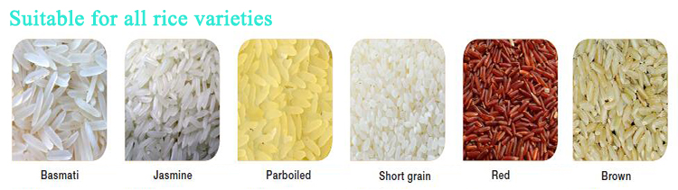Color Sorter Machine for Coffee Vegetable Seed Bean Rice Wheat Grain Lentil Sorting