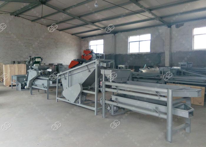 Commercial Argan Nut Shelling Machine
