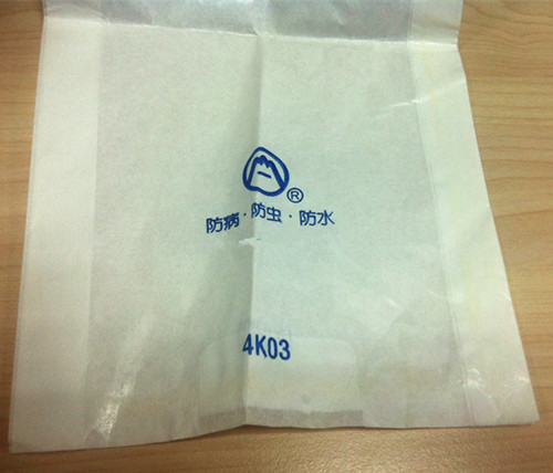 Mango/dragon fruit/ longan fruit growing paper bag skype yu.zhang 951