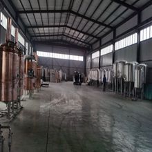 Food Beverage Stainless Steel Beer Fermentation Tank GHO 50L 100L 200L 300L 400L 500L
