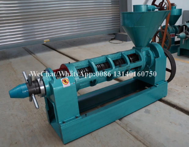80-125kg/H Nuts Processing Machine Shea Automatic Oil Extraction Machine