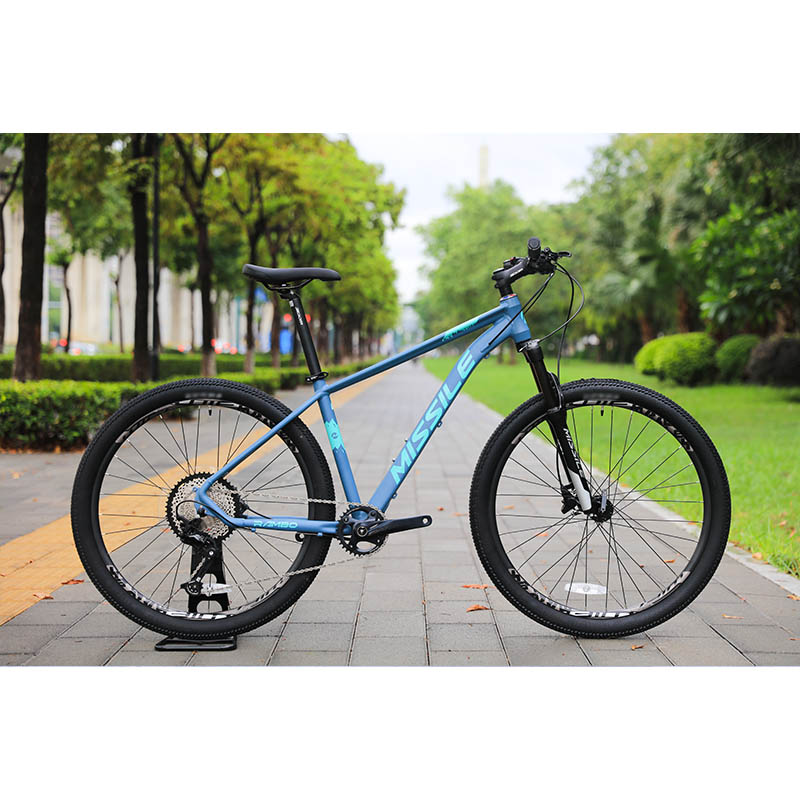 150KG Load Capacity 29 Inch Carbon Fiber Mountain Bike with 30 Speed Gears and Design