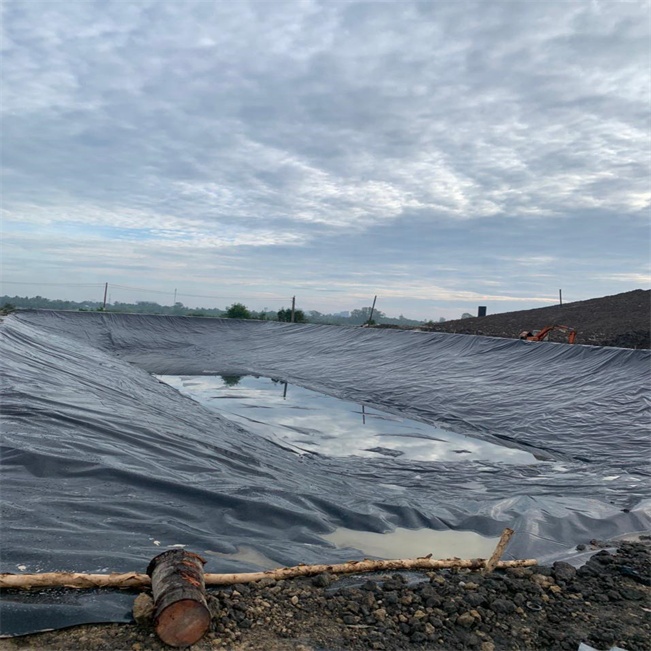 500 microns Dam Linings Prices HDPE Geomembrane Waterproof for Fish Farming Pond Liner