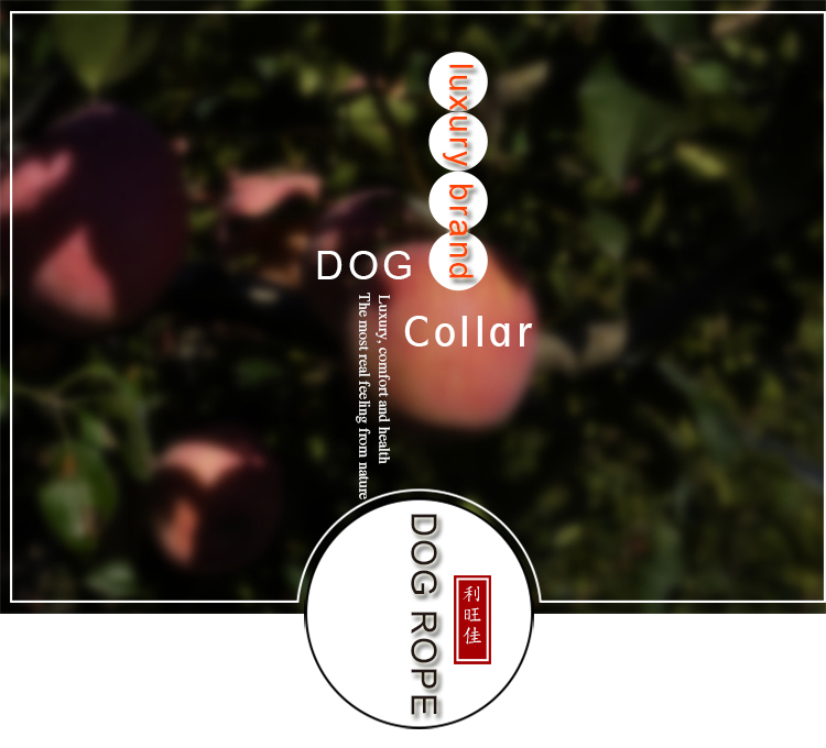 Custom Nylon Dog Leash / Printed Logo Luxury Padded Decorative Velvet Dog Leash