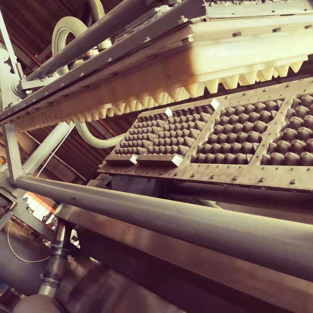 6s/Cycle Pulp Egg Tray Making Machine With PLC Control System
