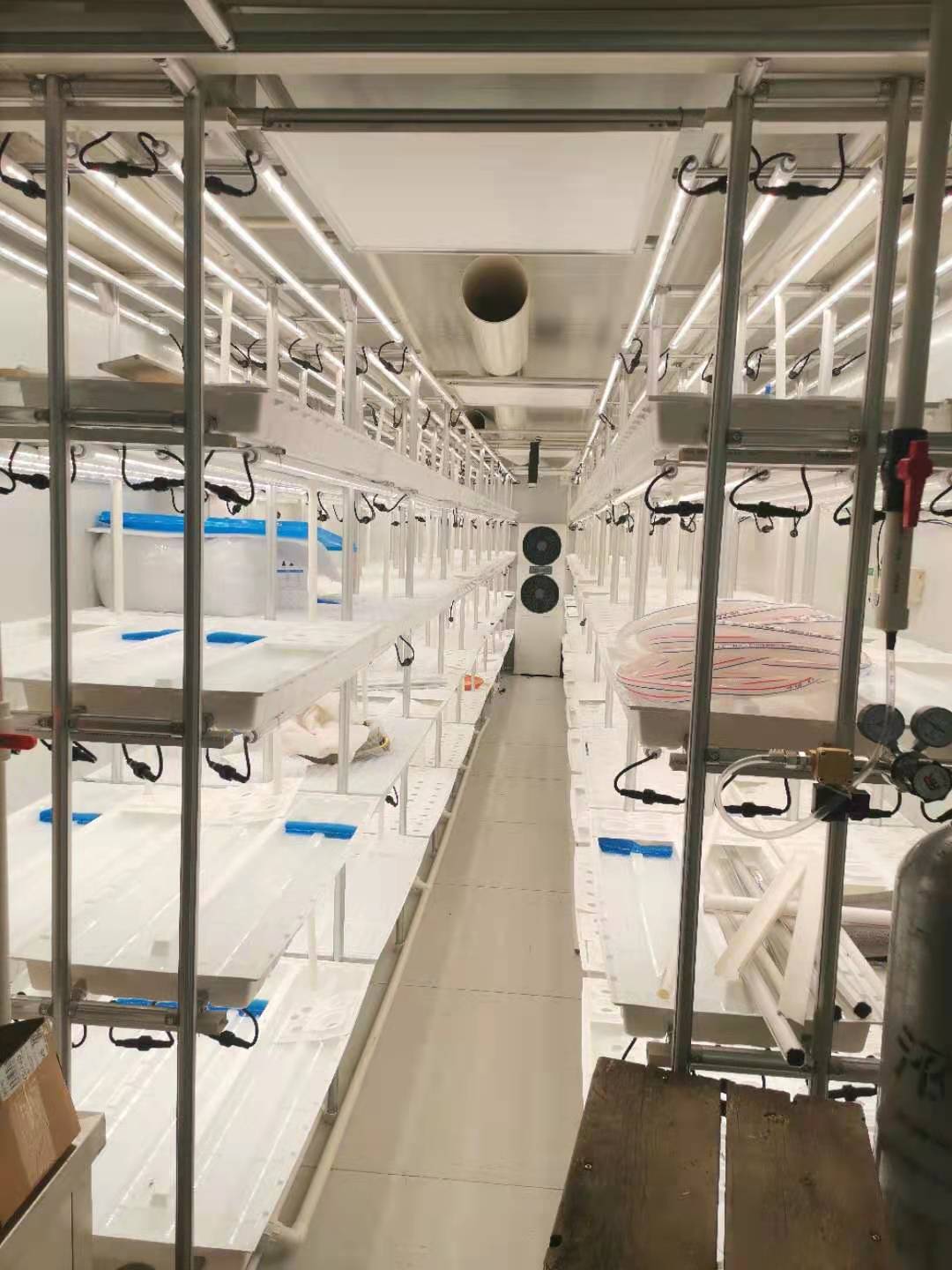 Container Farm Hydroponic Growing System Multi-Span Agricultural Greenhouses
