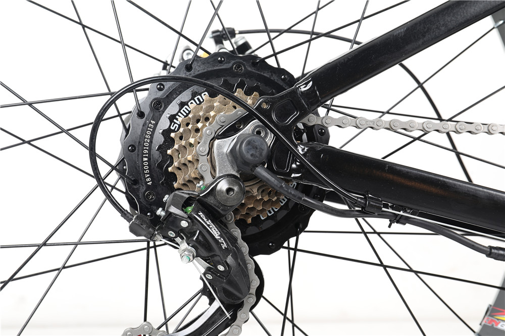 500W 750W Fat Tyre Electric Sport Bike With Double Disc Brake LCD Display High Power