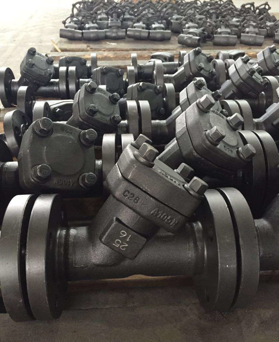 High Pressure/Small Size Y Type Strainer/2 inch y strainer/flanged y strainer/metal strainer