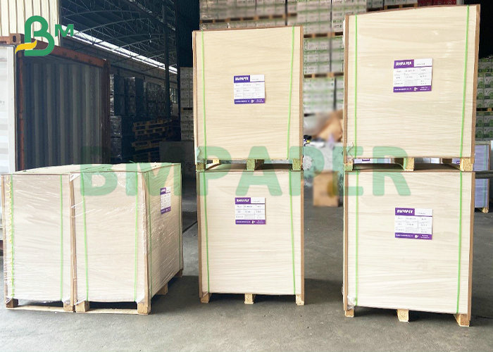 120gsm 150gsm Glossy Matte Paper For Book Text Cover Offset Printing    
