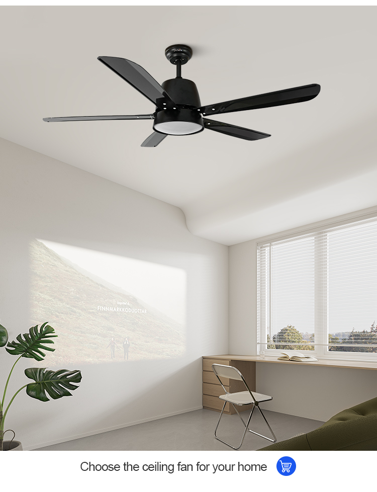 ceiling fan
