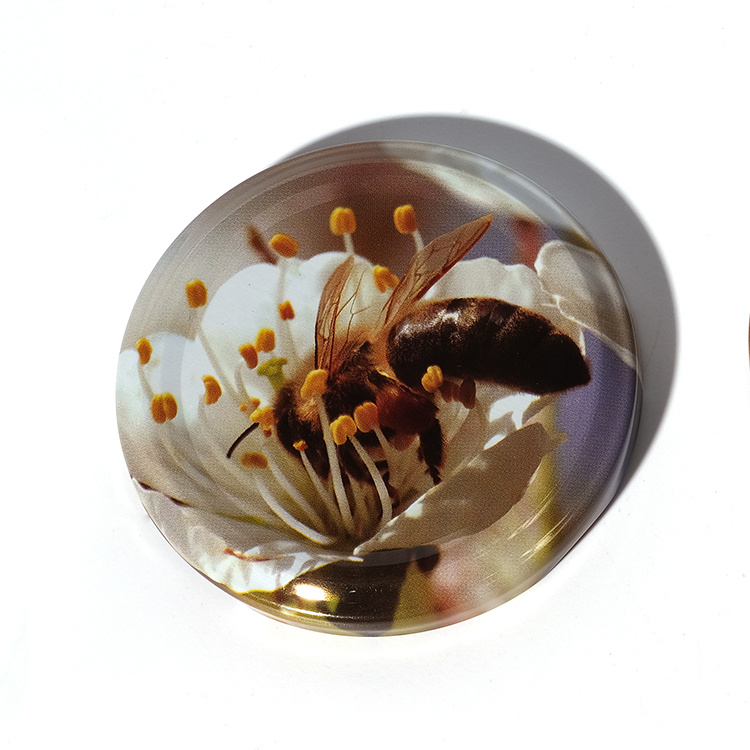 Free Sample 38mm 43mm 48mm 53mm 58mm 63mm 70mm 82mm Wide Mouth Tinplate Metal Lug Cap for Canning Jar