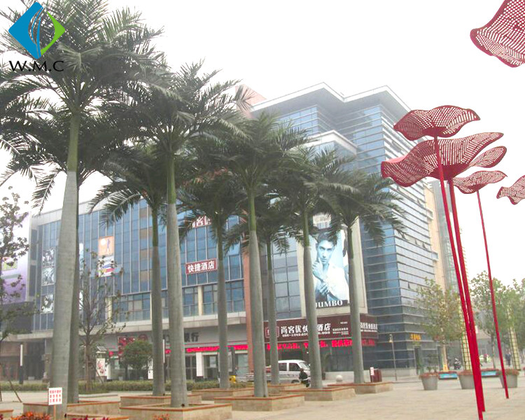 T11067 tree park.jpg