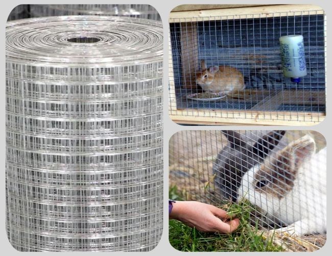 Rustproof 48x100 Hardware Cloth Roll Galvanised Wire Mesh Roll For Rabbit Cage